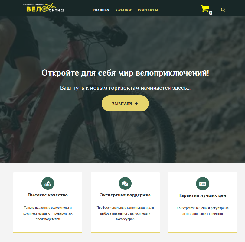 Velocity23.ru online store screenshot